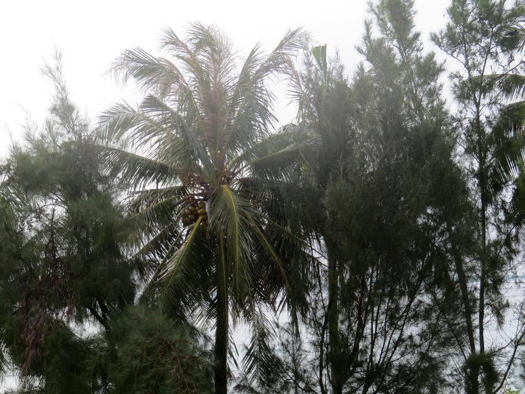Coral Queen Inn Hulhumale Zewnętrze zdjęcie